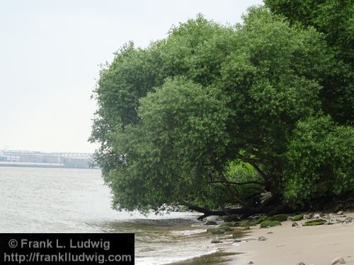 Hamburg - An der Elbe